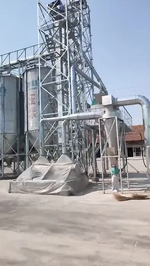 1000 トン Ppaddy サイロ ボルト締めアセンブリ タイプ ファーム ビン メーカー波形板鋼穀物サイロ販売のための格安価格